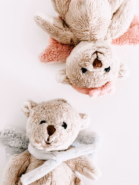 Shop With Us Comercio Importacao e Exportacao de Brinquedos LTDA